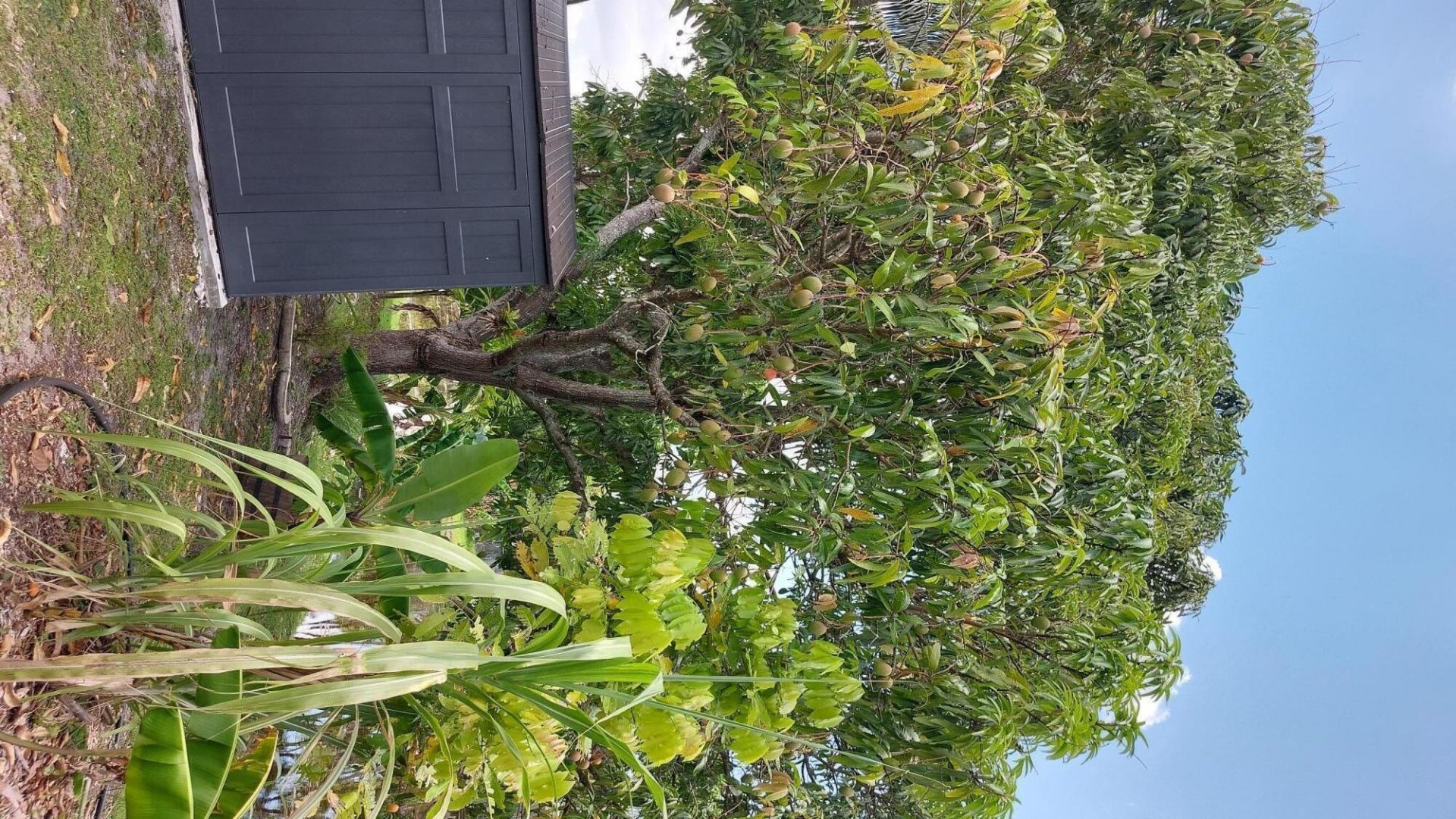 4290 NW 45th Terrace, Lauderdale Lakes, FL 33319 Photo