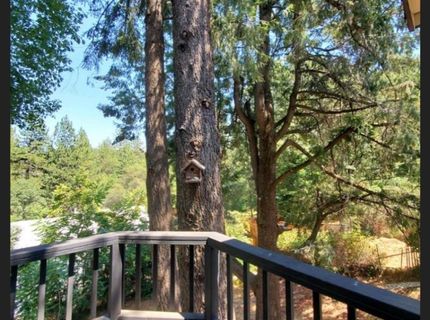 949 Bliss Ct, Placerville, CA 95667 Photo