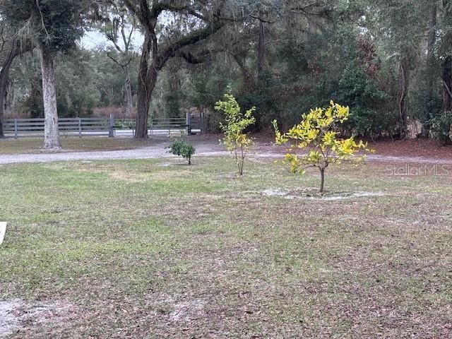 1270 SW 14th Street, Chiefland, FL 32626 Photo