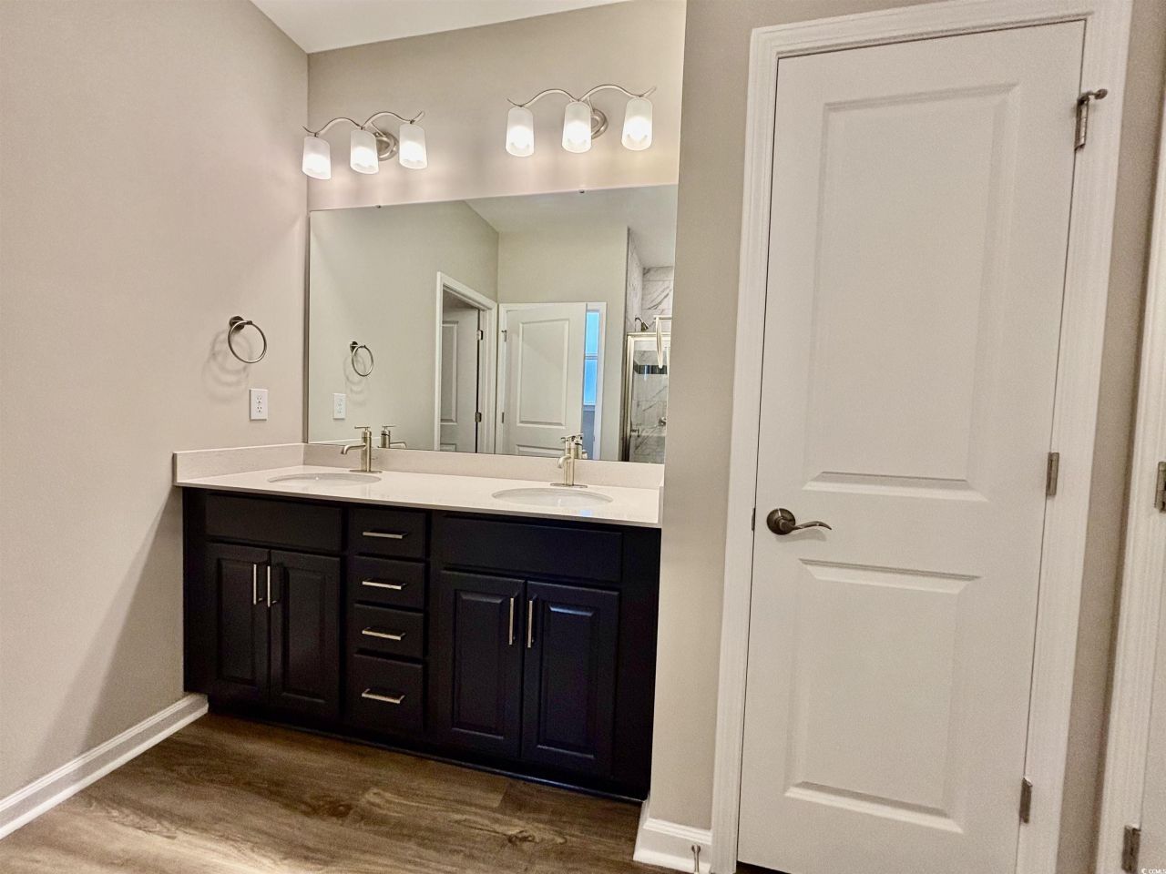 2888 Flatleaf Ct Photo 19