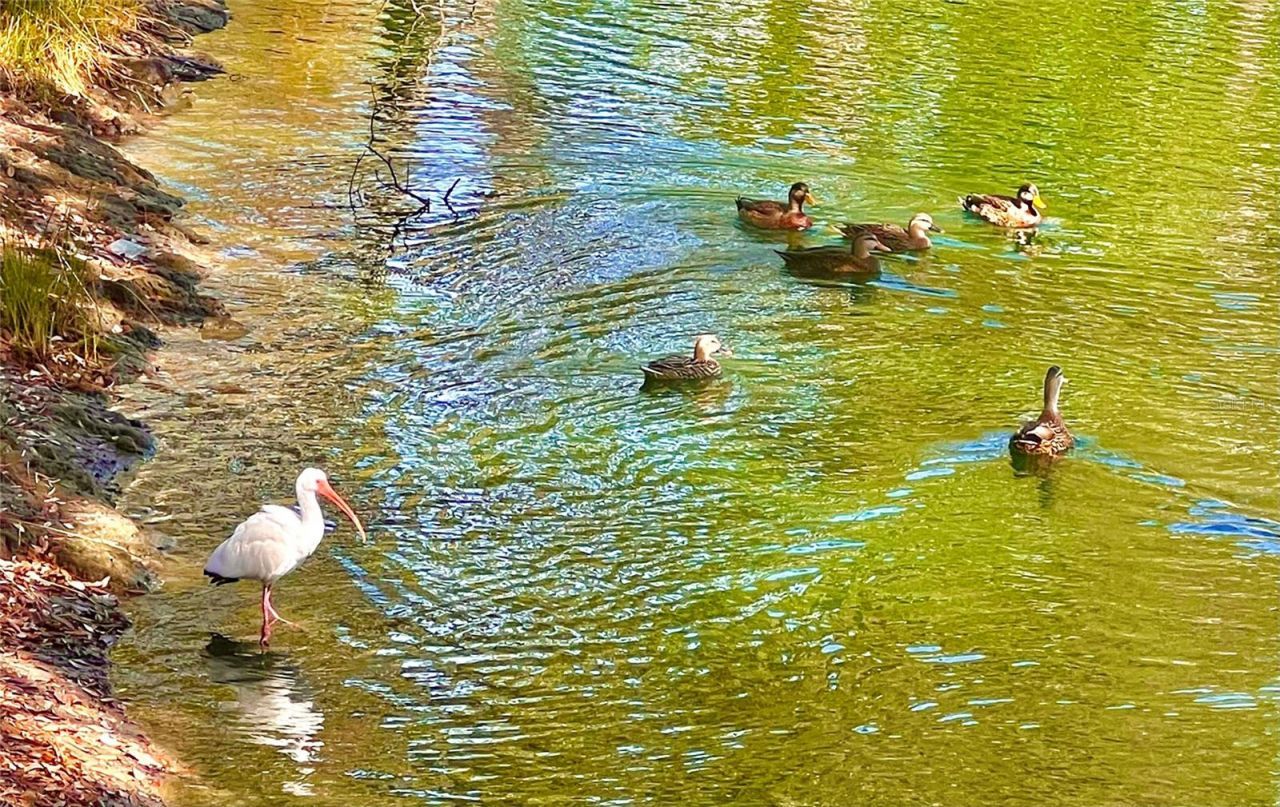 7801 Ontario Street Circle, Sarasota, FL 34243 Photo