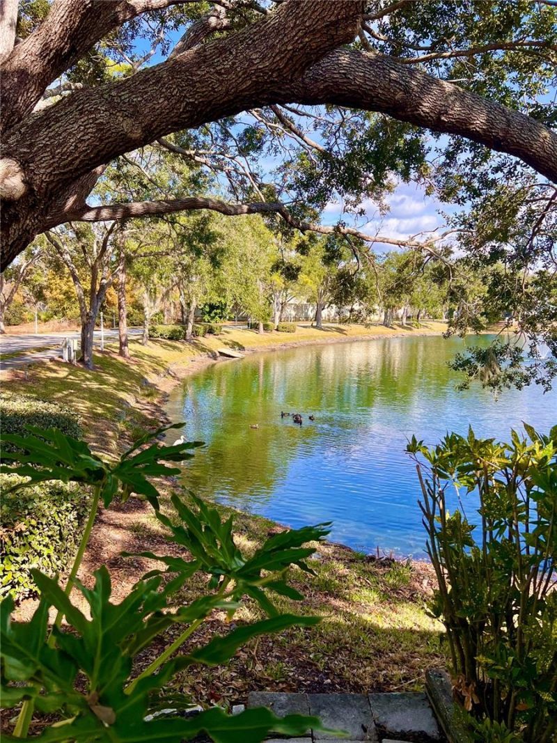 7801 Ontario Street Circle, Sarasota, FL 34243 Photo