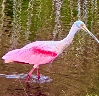 7801 Ontario Street Circle, Sarasota, FL 34243 Photo