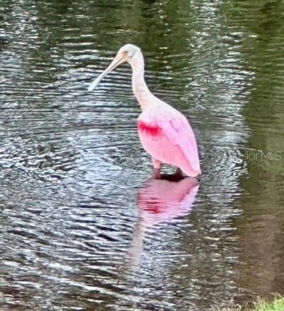 7801 Ontario Street Circle, Sarasota, FL 34243 Photo