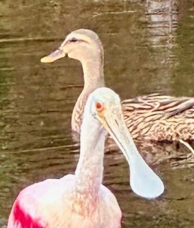 7801 Ontario Street Circle, Sarasota, FL 34243 Photo