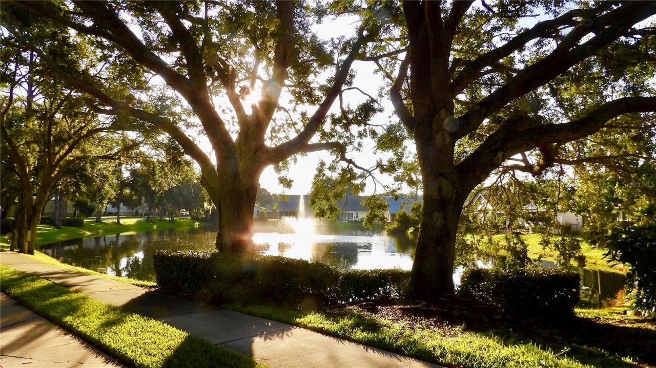 7801 Ontario Street Circle, Sarasota, FL 34243 Photo