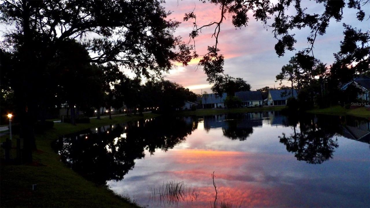 7801 Ontario Street Circle, Sarasota, FL 34243 Photo