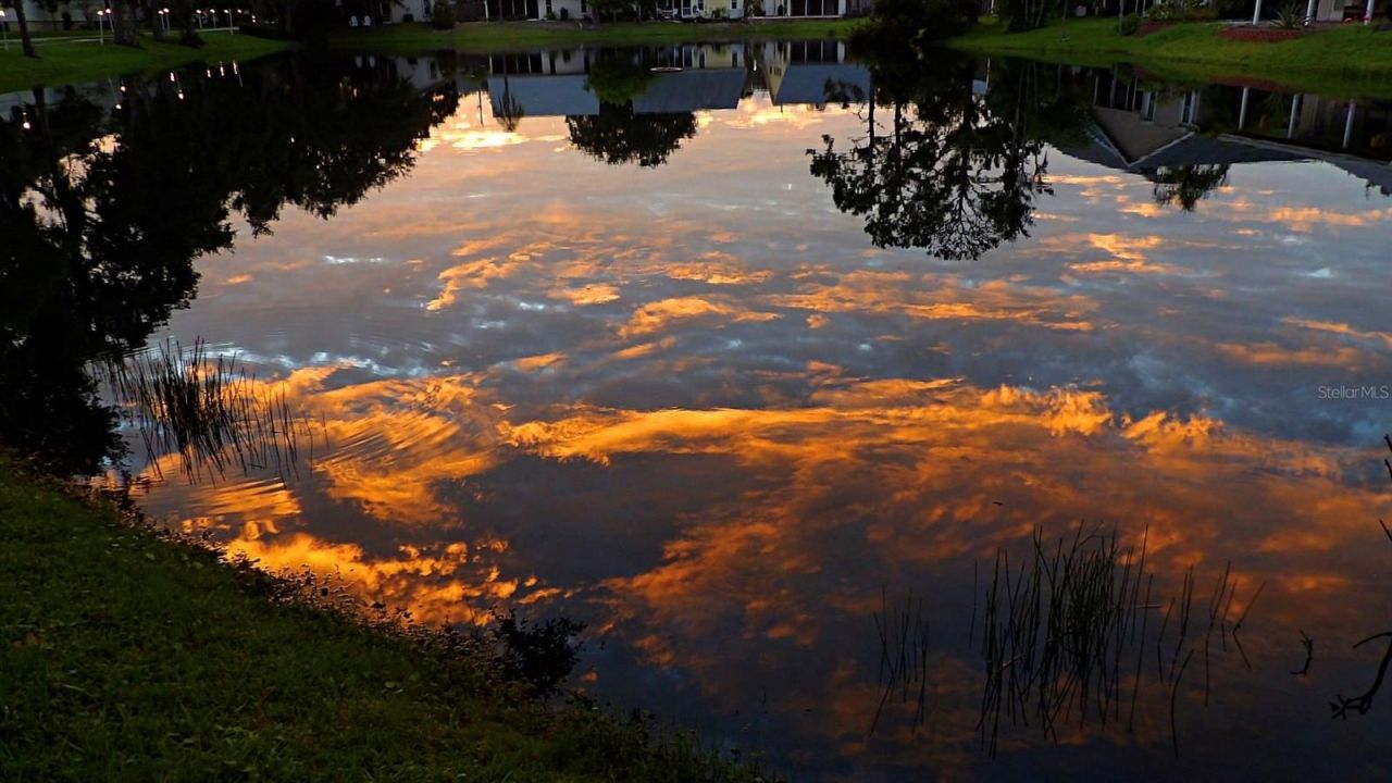 7801 Ontario Street Circle, Sarasota, FL 34243 Photo