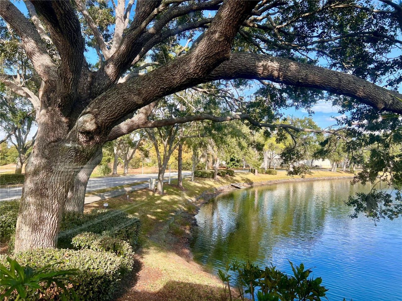 7801 Ontario Street Circle, Sarasota, FL 34243 Photo