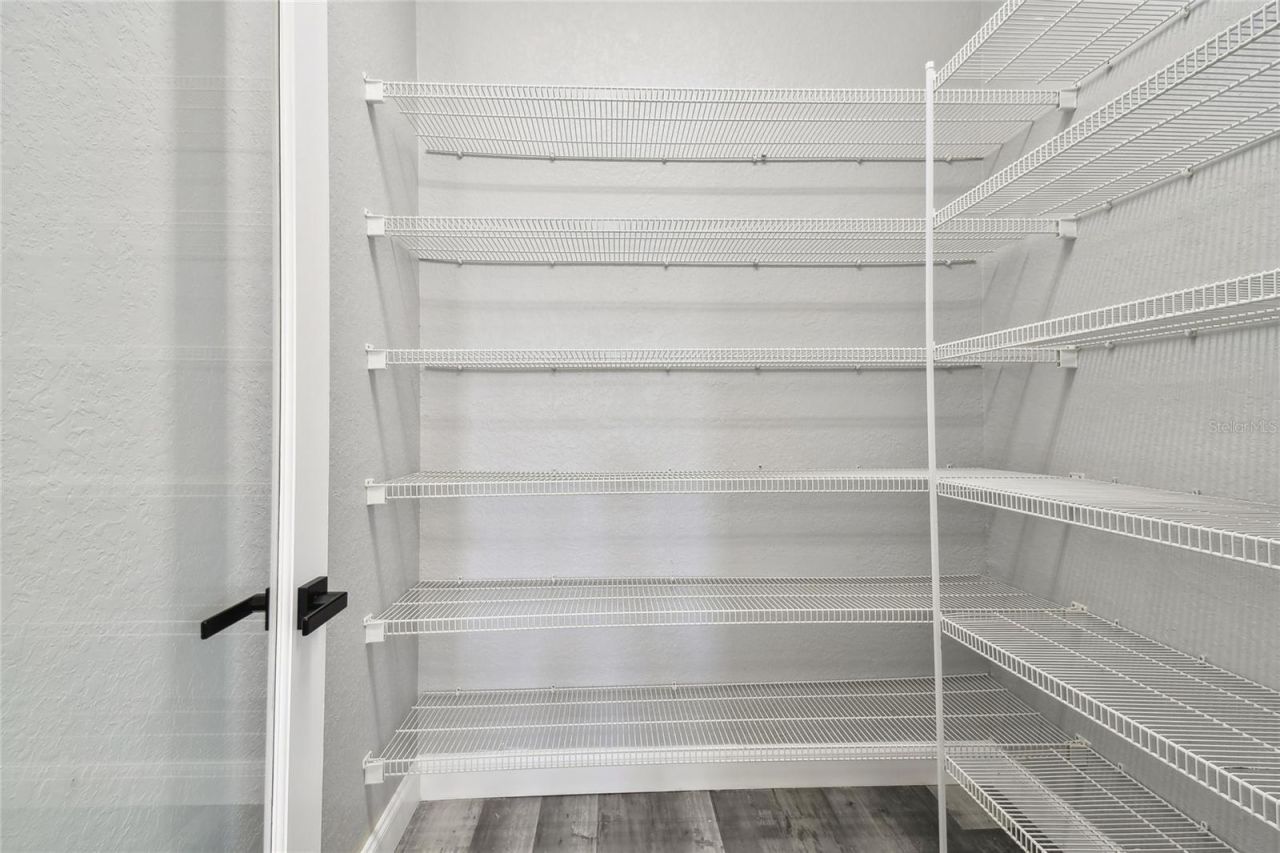 6644 Country Club Road, Wesley Chapel, FL 33544 Photo