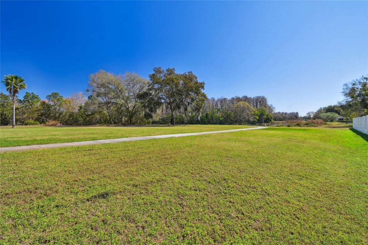 6644 Country Club Road, Wesley Chapel, FL 33544 Photo