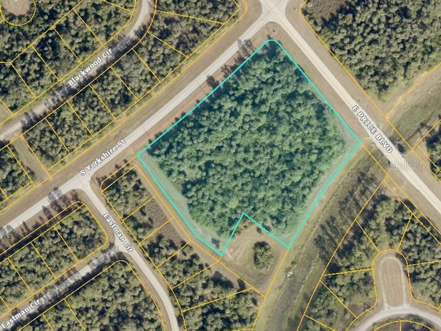 Property Image 4