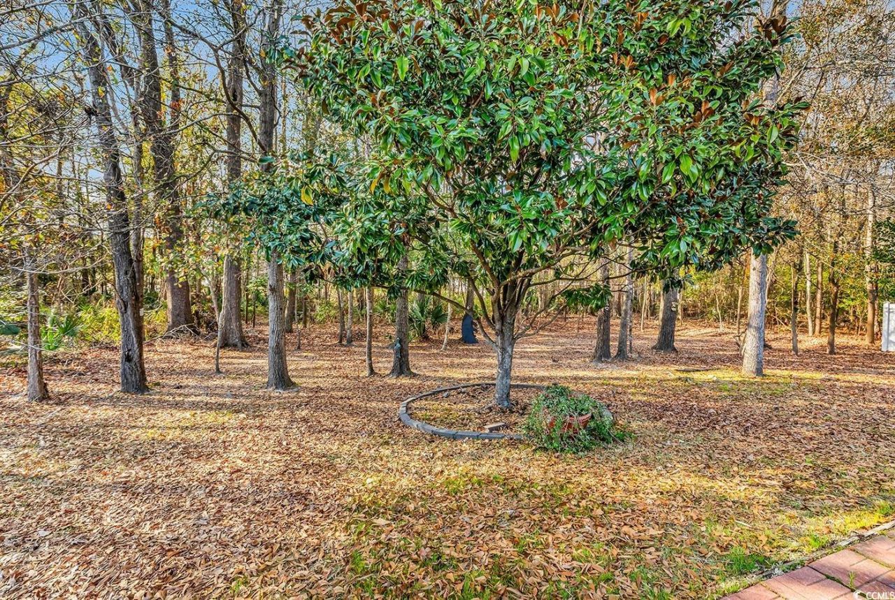 540 Calypso Dr. Photo 8