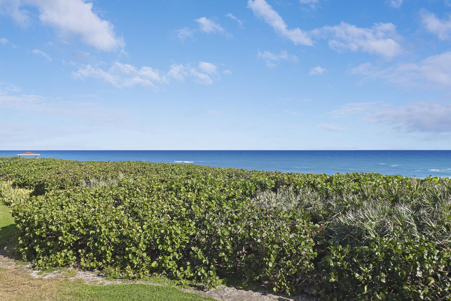 7420 S Ocean Drive, Unit C-211, Jensen Beach, FL 34957 Photo