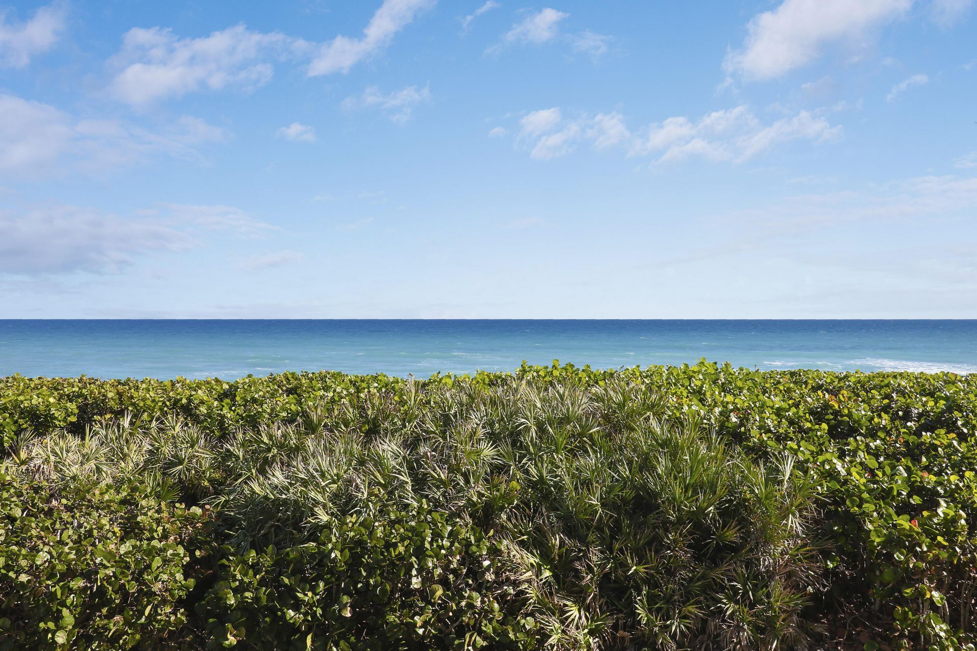 7420 S Ocean Drive, Unit C-211, Jensen Beach, FL 34957 Photo