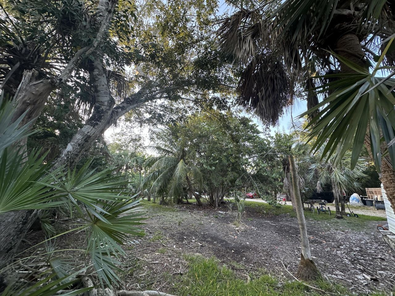 21857 Disturbed Pine Road, Cudjoe, FL 33042 Photo