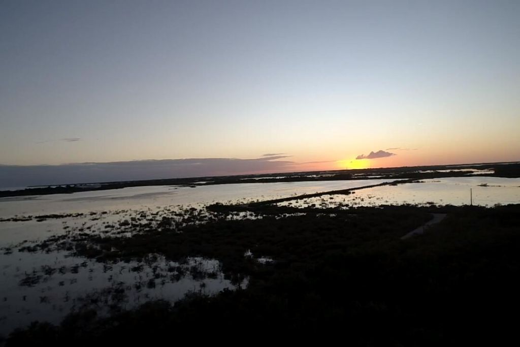 21857 Disturbed Pine Road, Cudjoe, FL 33042 Photo