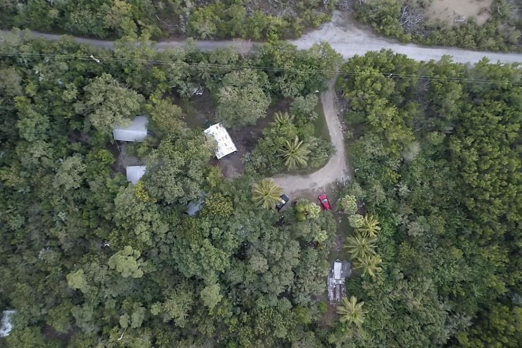 21857 Disturbed Pine Road, Cudjoe, FL 33042 Photo