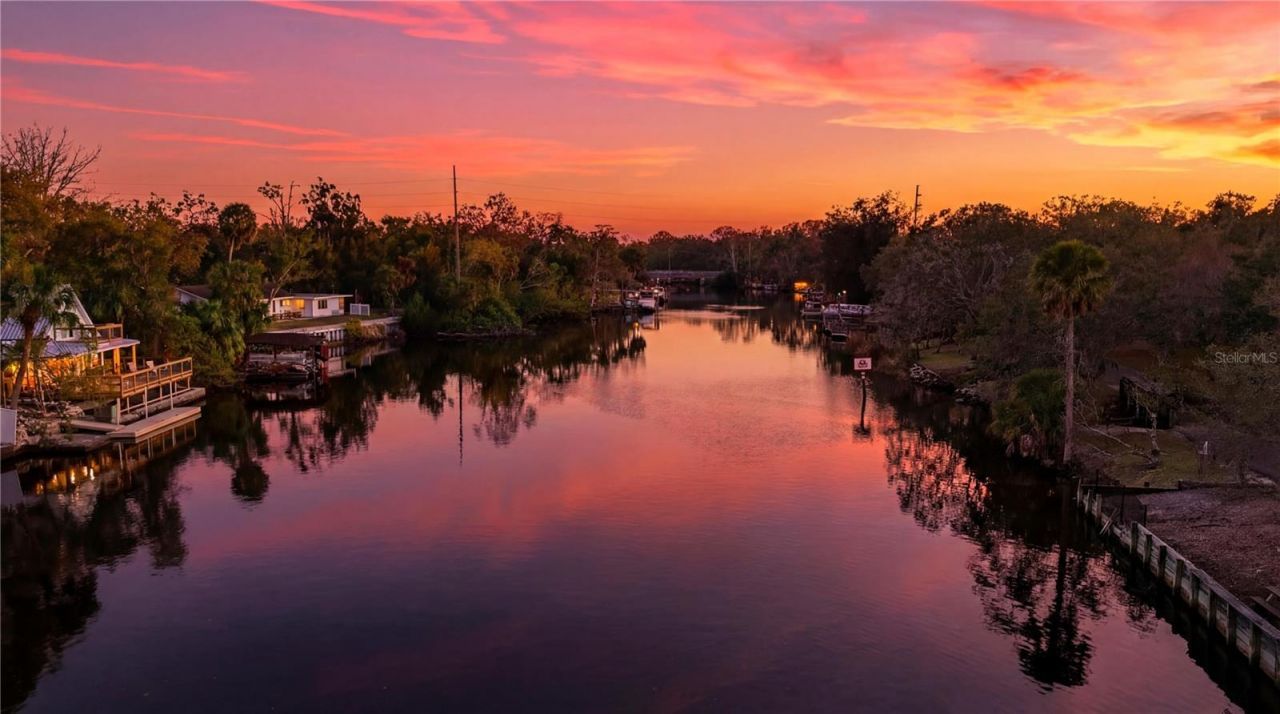 7214 N Ola Avenue, Tampa, FL 33604 Photo