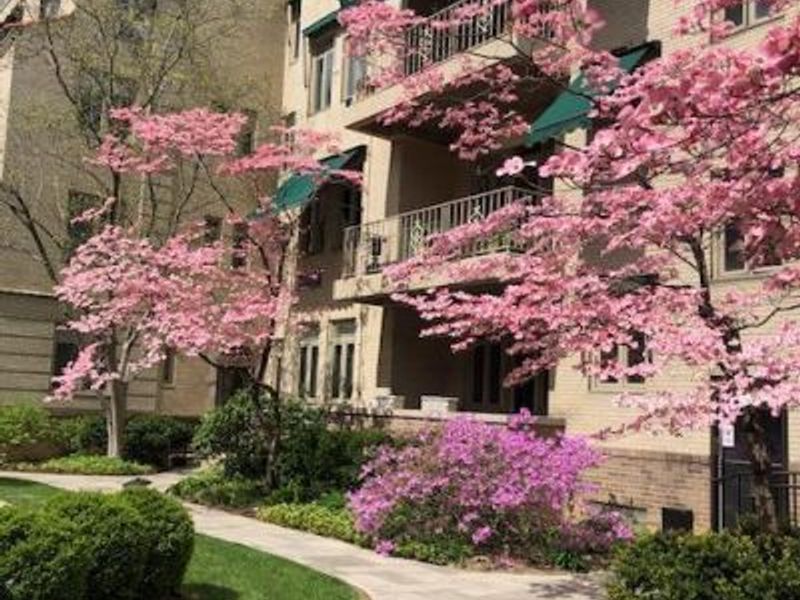 2380 Madison Road, Unit E3A, Cincinnati, OH 45208 Photo 1