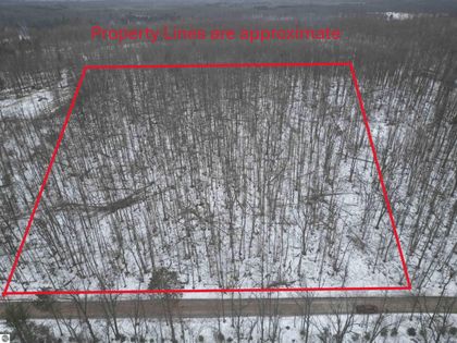 13384 Bartz Road Hubbard Lake, MI 49747