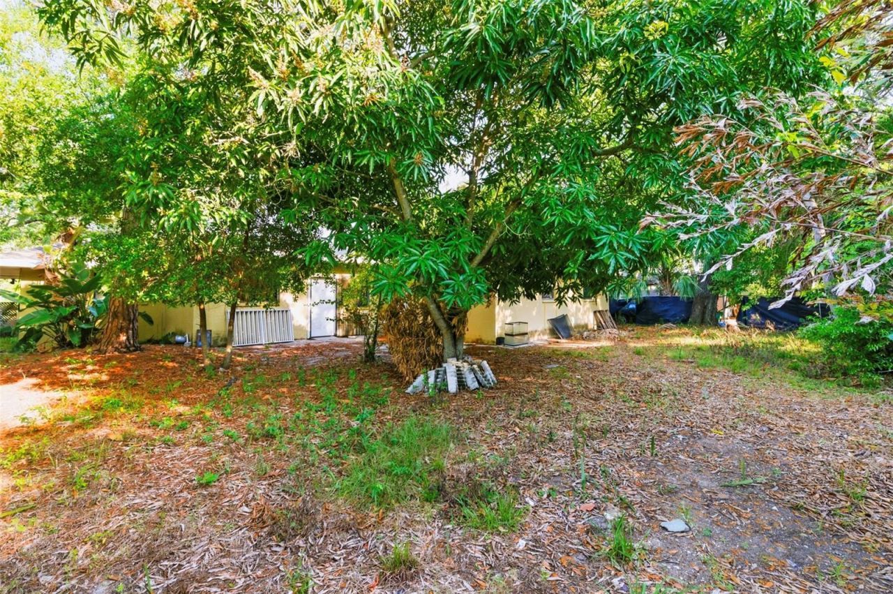 260 13th Street N, Saint Petersburg, FL 33705 Photo