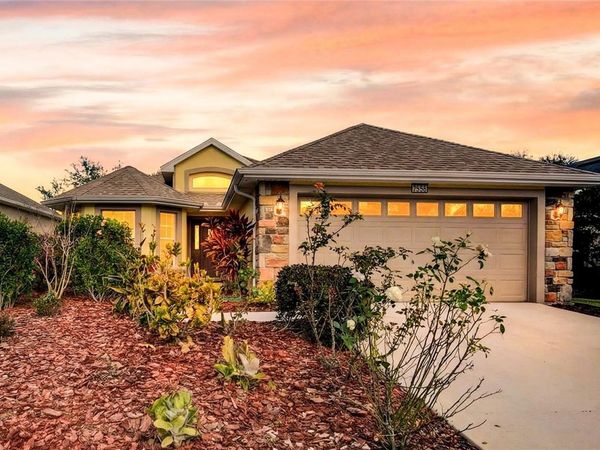 3003 NEW HAVEN PLACE, MOUNT DORA, FL 32757