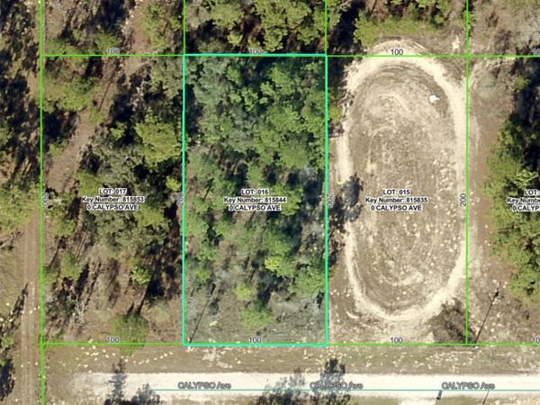Lot 16 CALYPSO AVENUE, BROOKSVILLE, FL 34614