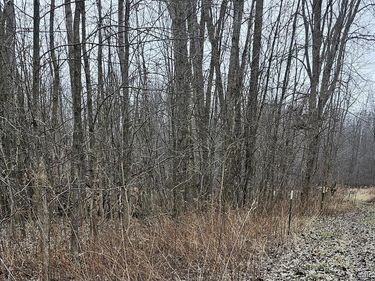 000 Chase Lake Rd , Conway Twp, MI 48836