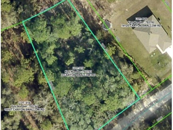 Lot 19 CANYON SWALLOW ROAD, WEEKI WACHEE, FL 34614