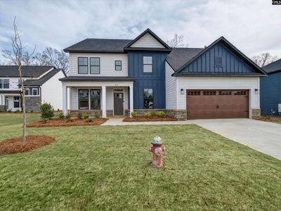 28 Elk Run Court, Chapin, SC 29036