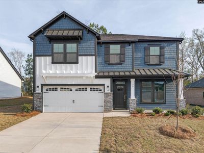 20 Elk Run Court, Chapin, SC 29036