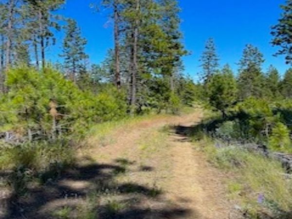 Lot B Kronos Short Plat/Pine Hen Ln, Davenport, WA 99122