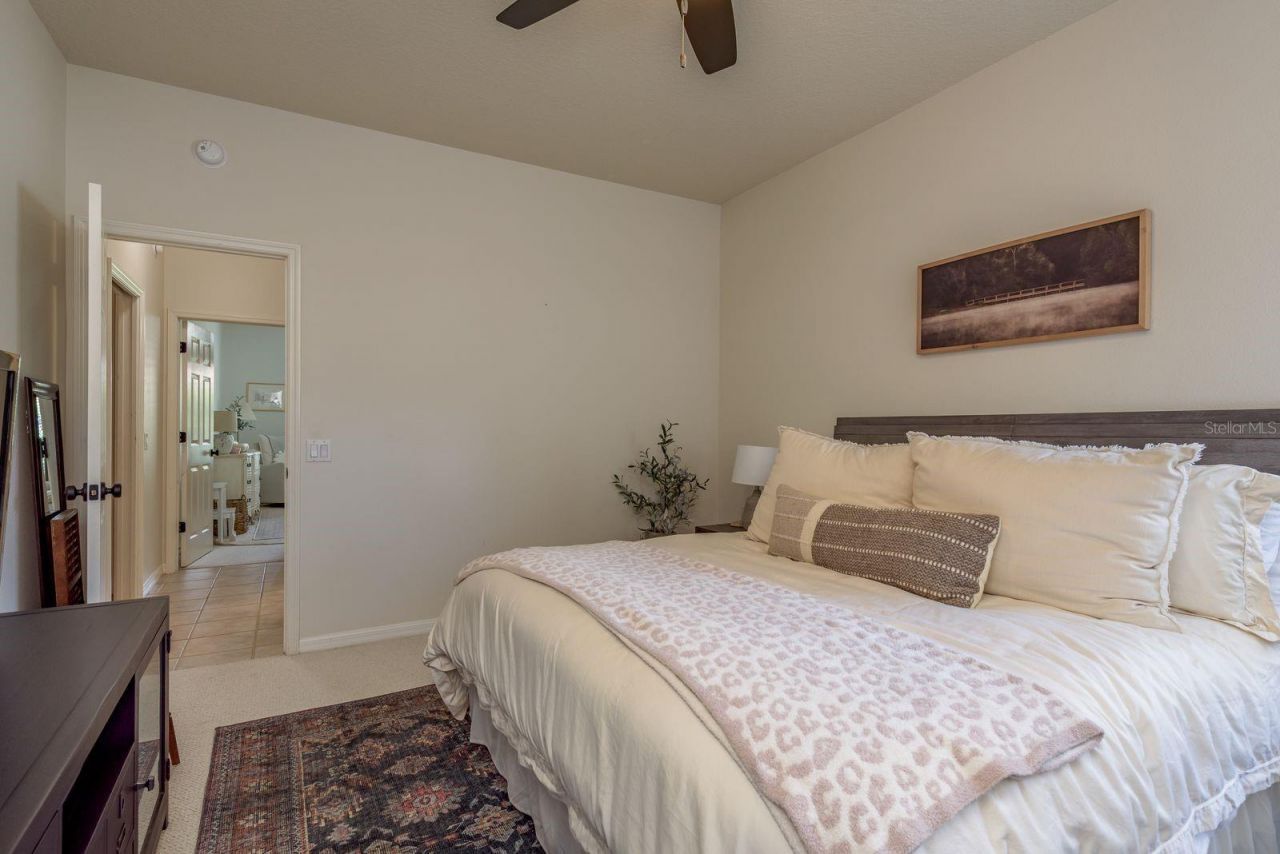 12109 Clear Harbor Drive, Tampa, FL 33626 Photo