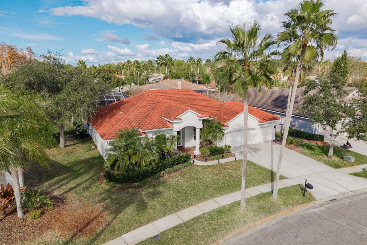 12109 Clear Harbor Drive, Tampa, FL 33626 Photo