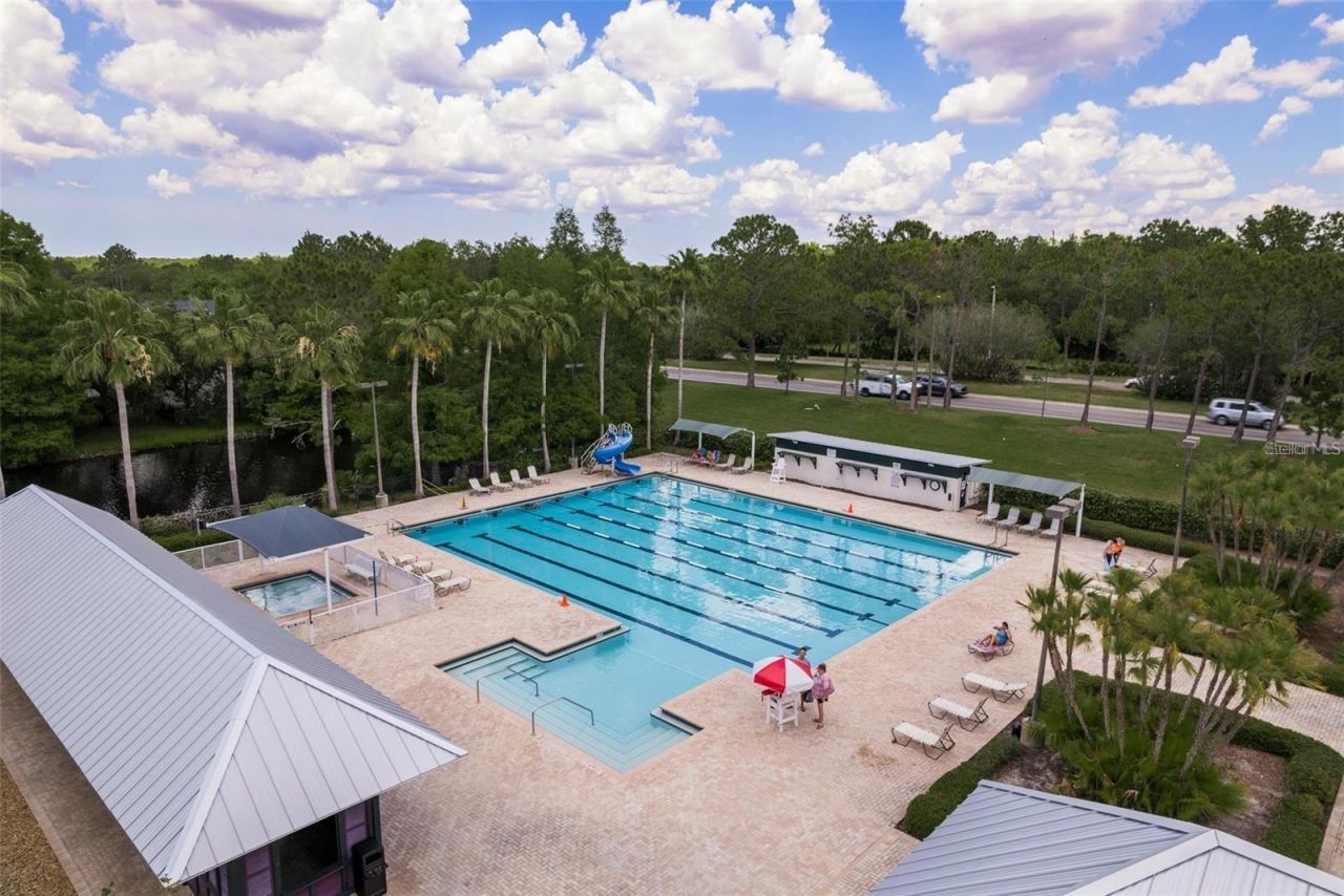 12109 Clear Harbor Drive, Tampa, FL 33626 Photo