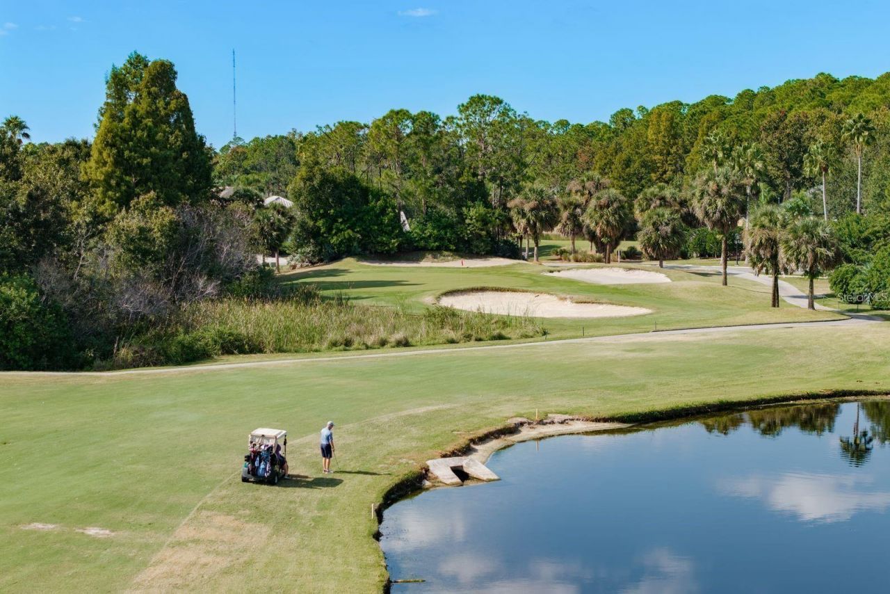 12109 Clear Harbor Drive, Tampa, FL 33626 Photo