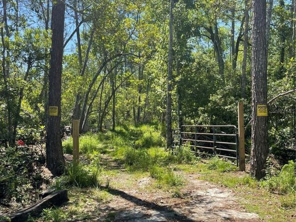 3781 PINE PITCH COURT, ORMOND BEACH, FL 32174