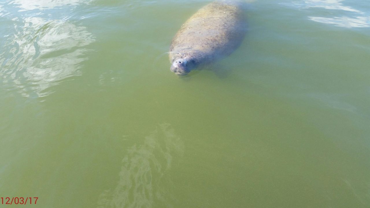 1530 Ocean Bay Drive, Unit 411, Key Largo, FL 33037 Photo