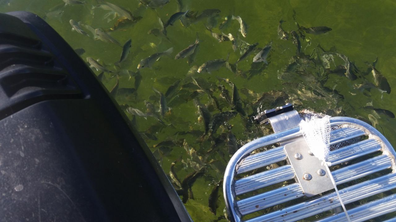 1530 Ocean Bay Drive, Unit 411, Key Largo, FL 33037 Photo