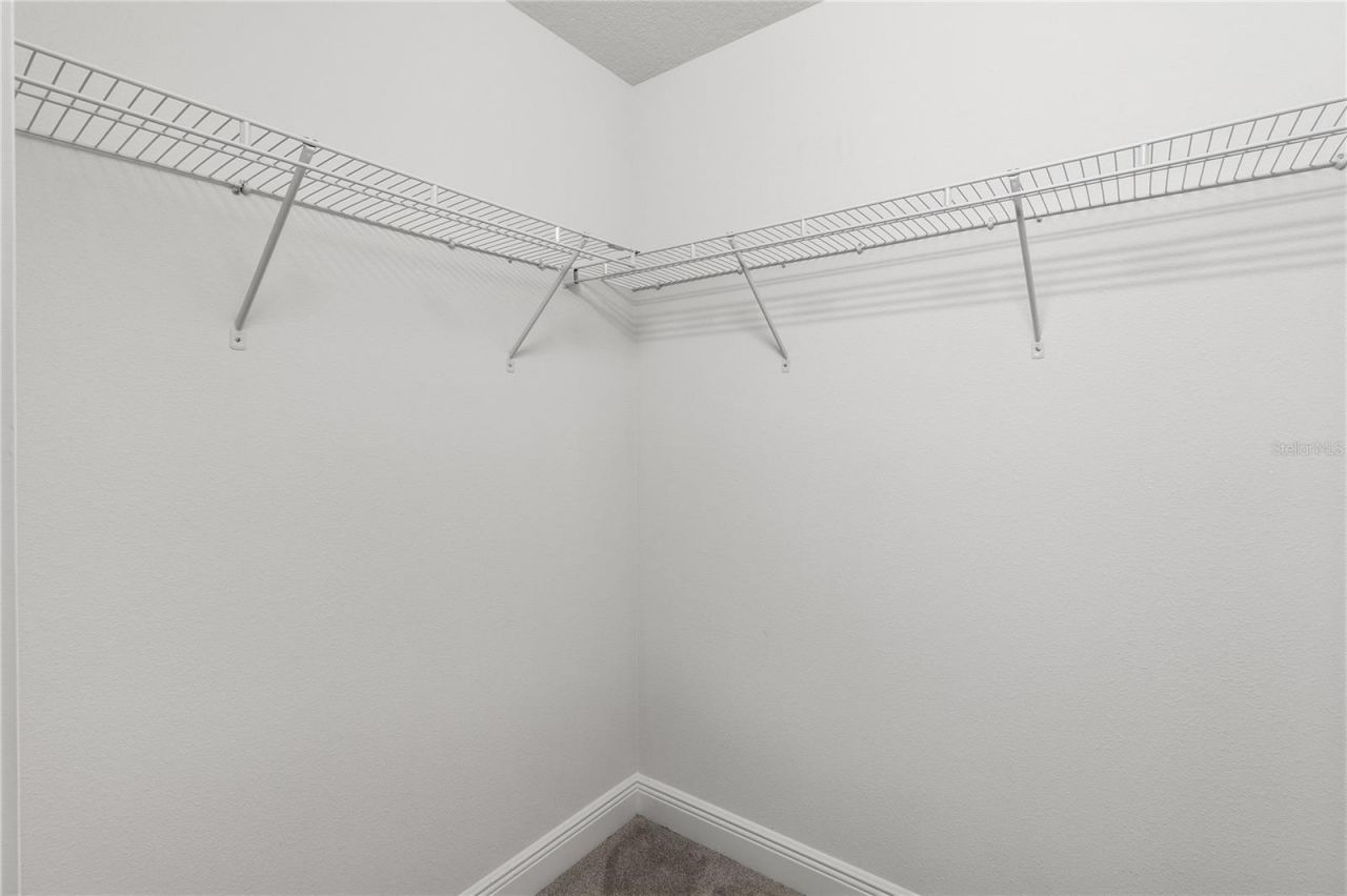 2313 Sunset Wind Loop, Oldsmar, FL 34677 Photo