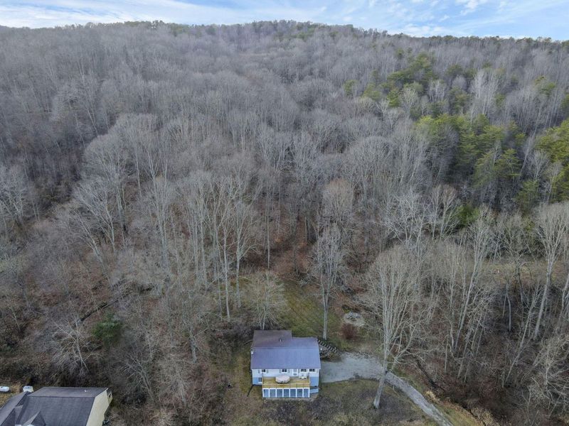 22913 Goose Creek Road, South Bloomingville, OH 43152 Photo 53