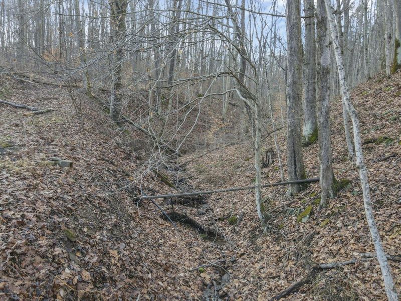 22913 Goose Creek Road, South Bloomingville, OH 43152 Photo 60