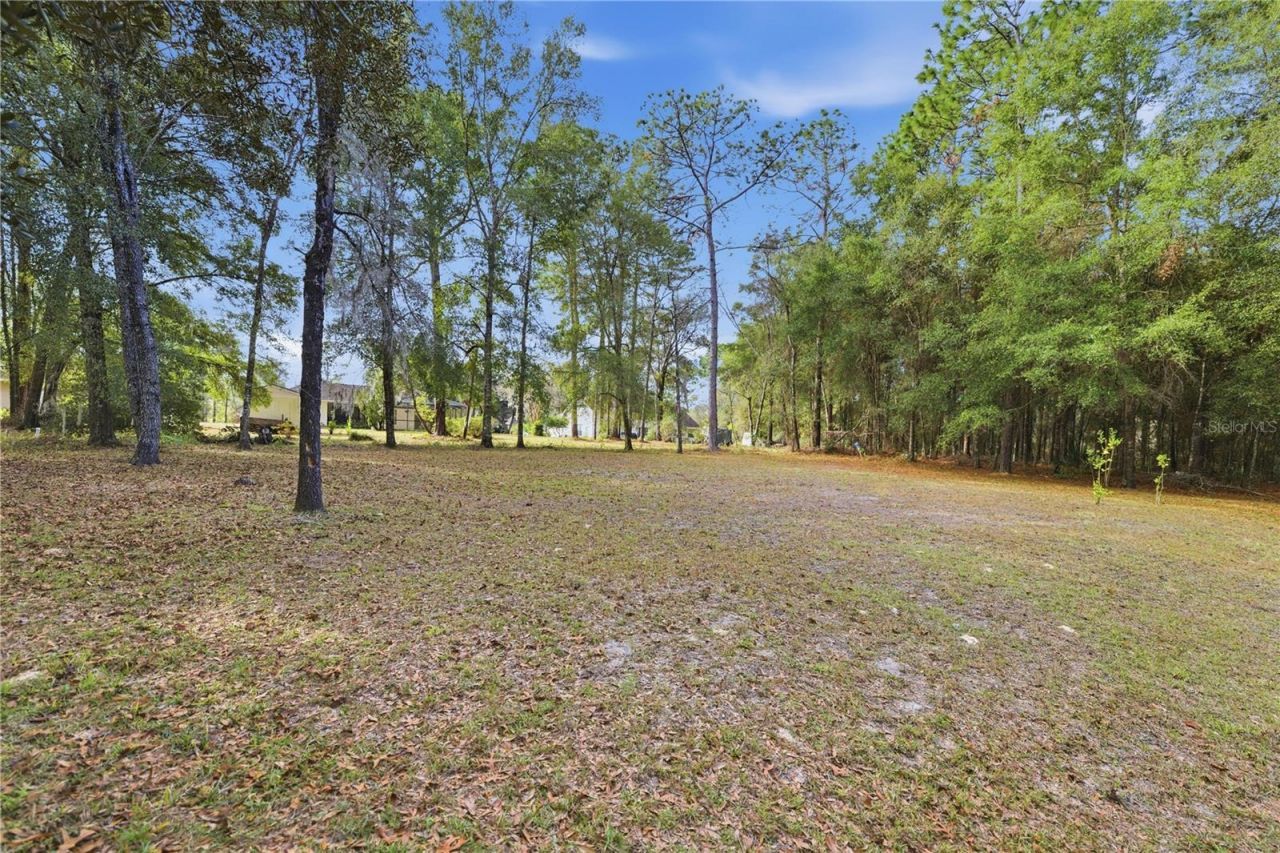 2820 E Newhaven Street, Inverness, FL 34453 Photo