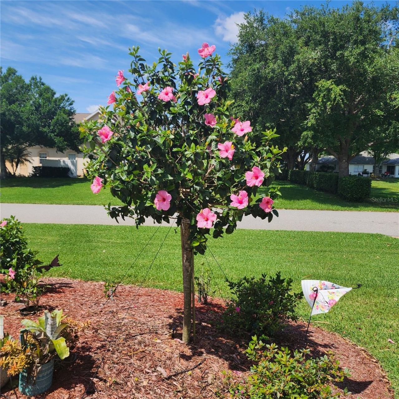 16 Meadowlake Circle S, Lake Placid, FL 33852 Photo