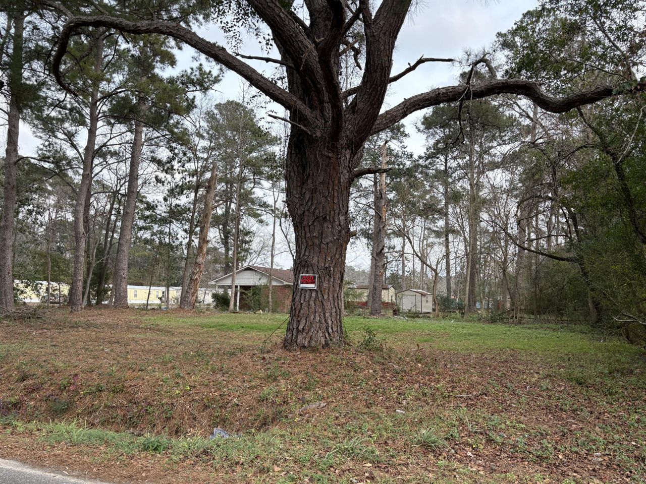 410 Poplar Street Photo 10