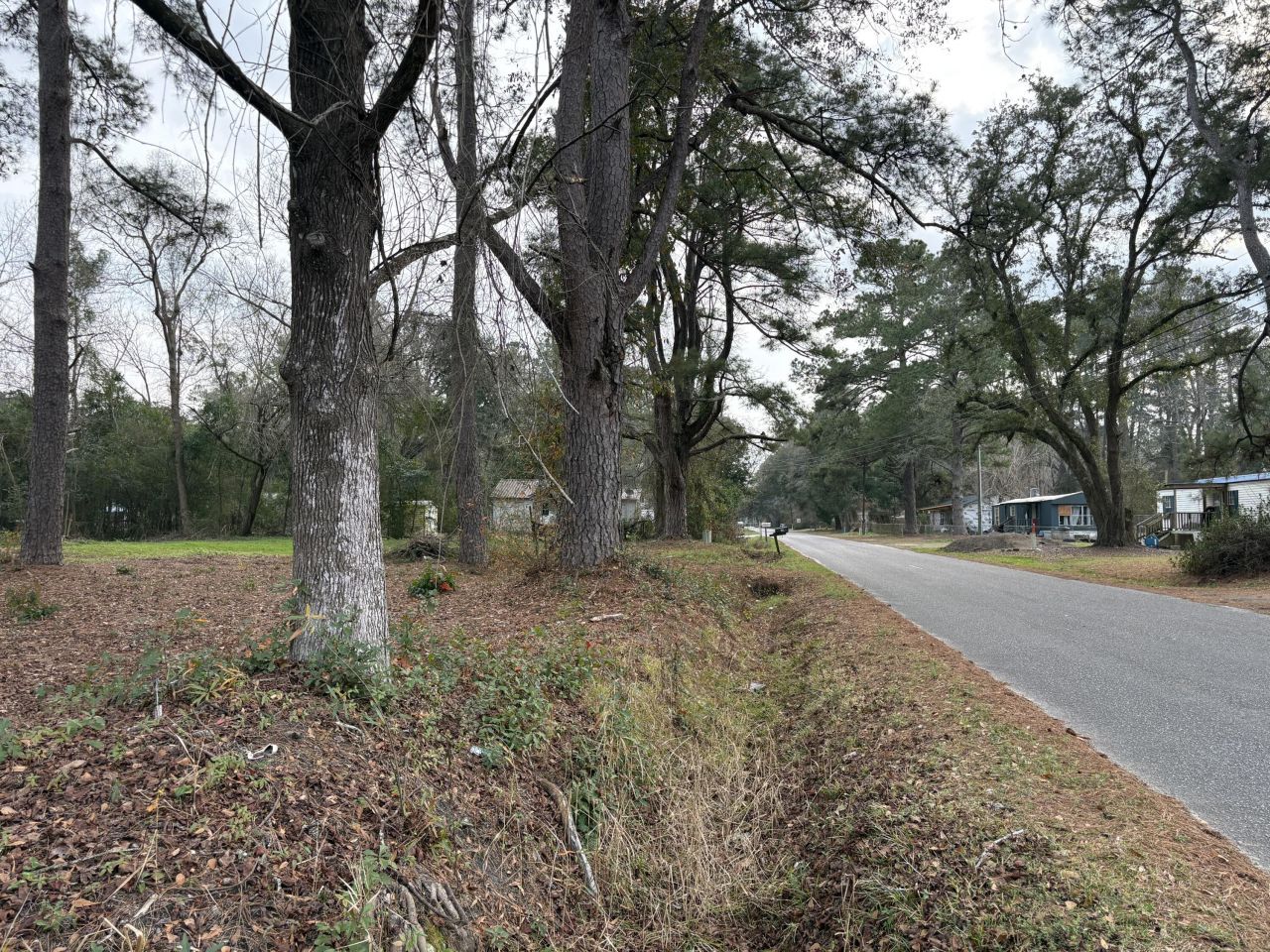 410 Poplar Street Photo 6