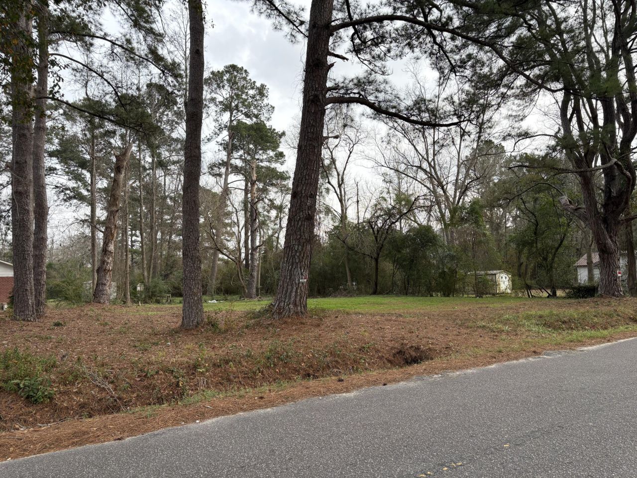 410 Poplar Street Photo 7