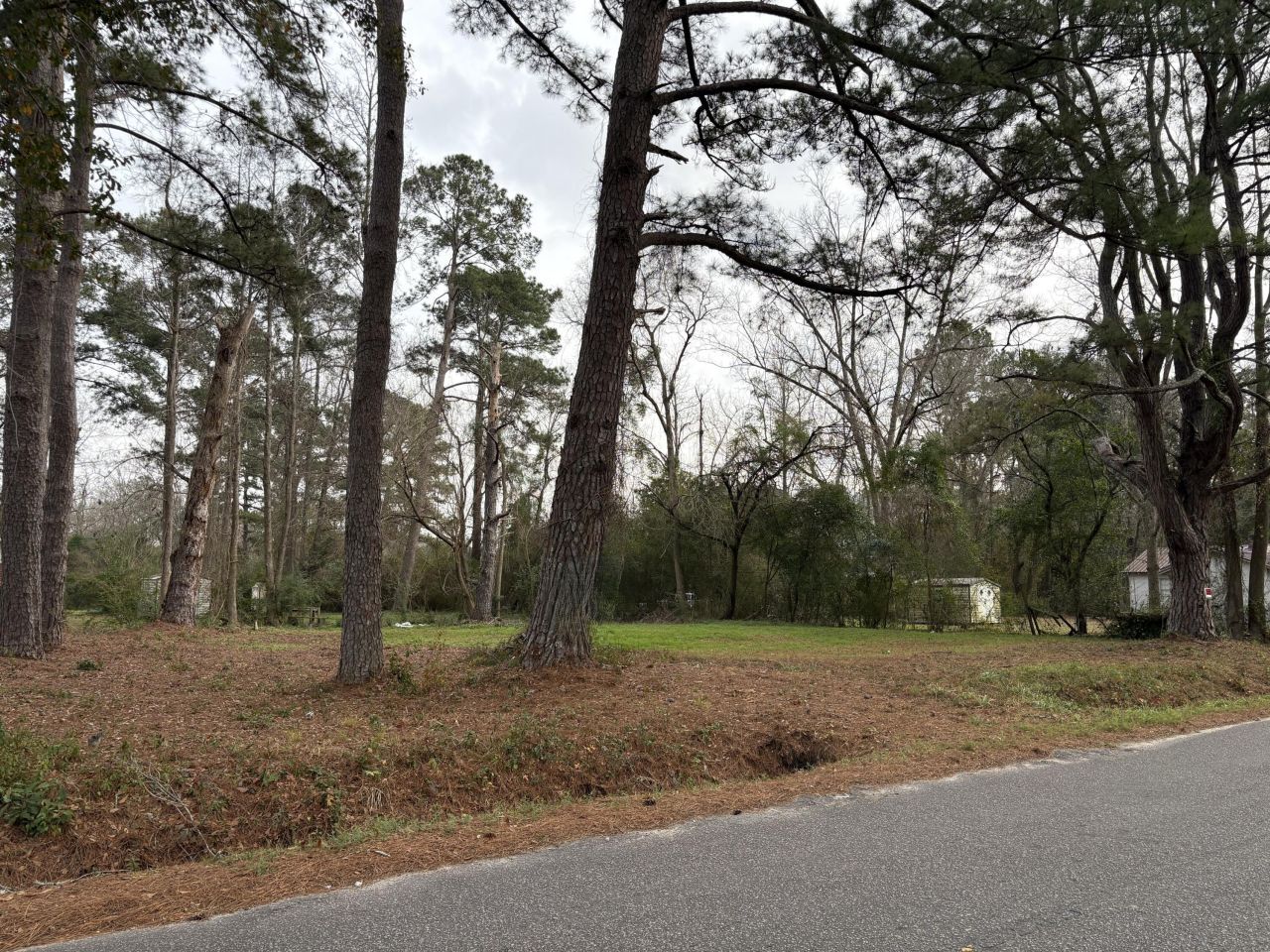 410 Poplar Street Photo 8