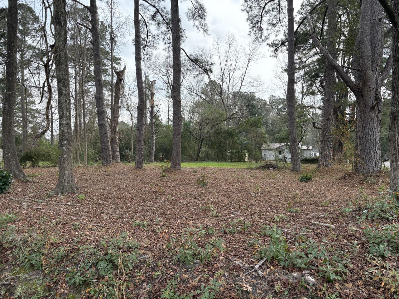 410 Poplar Street Photo 9